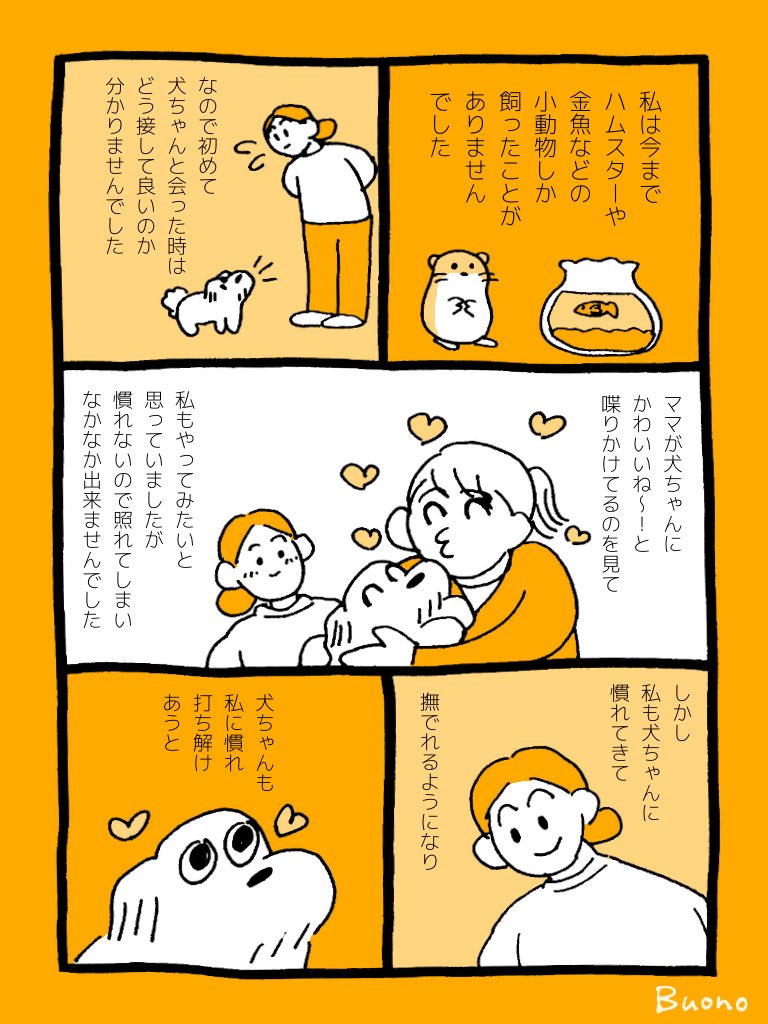 犬ちゃんとの慣れ
