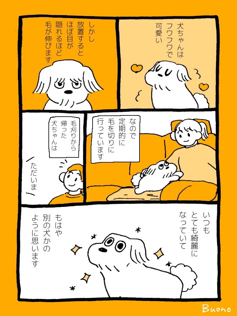 犬ちゃんと毛